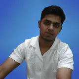 Salik Ansari